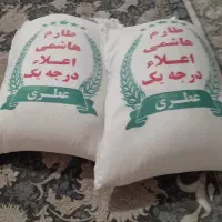 برنج طارم هاشمی