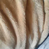 کاپشن دخترانه