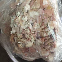 غدای سگو گربه