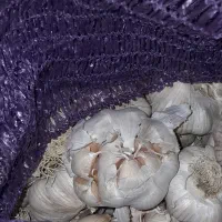 سیر|خوردنی و آشامیدنی|پارسآباد, |دیوار