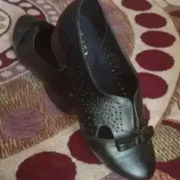 کفش زنانه سایز 37و38