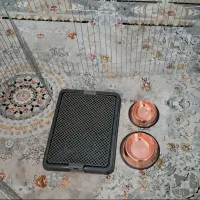 ظرف غذا و اب سگ پارک بزرگ سگ جا دستشویی سگ