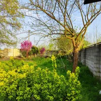 اجاره ویلای روستایی با دو هزار متر حیاط اختصاصی|اجارهٔ کوتاه‌مدت ویلا و باغ|شاندرمن, |دیوار