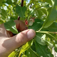فروش کل وسایل مغازه لوازم یدکی سواری
