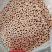 استخدام خانم وزیتور