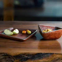 پیشنهاد شراکت یا ایده سرمایه گذاری