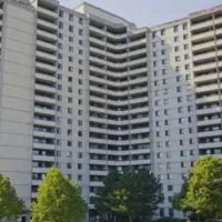 یاس-سپید-زرقان