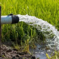 آب کشاورزی دهنو