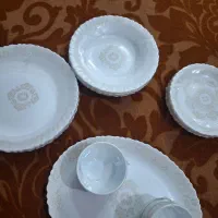 سرویس اوپال دینو. نو