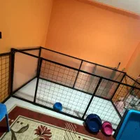 فنس (پارک) مناسب انواع حیوانات خانگی