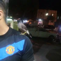 مینا بازی گوش|پرنده|کرمانشاه, |دیوار