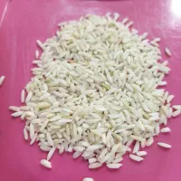 برنج درجه یک دورود با ابیاری چاه