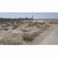 زمین-کشاورزی-ناصریه-کفه