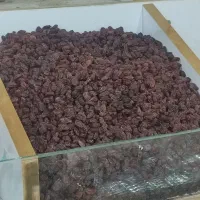 کشمش بی دانه آفتابی ملایر پاک شده