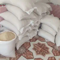 برنج هاشمی دره رود اصل به شرط|خوردنی و آشامیدنی|پارسآباد, |دیوار