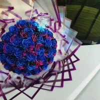 اجاره یا فروش فوری