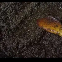 قرمه سبزی سرخ شده