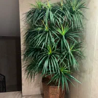 درخت چه مصنوعی