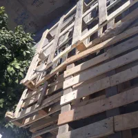 پالت چوبی سالم به تعداد۳۰عددبه فروش میرسد.