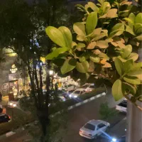 اجاره آپارتمان ۳خواب  /بلوارگیلان