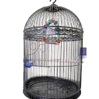 قفس|لوازم جانبی حیوانات|گلبهار, شهر جدید گلبهار|دیوار