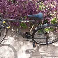 دوچرخه damavand تمیز|دوچرخه، اسکیت، اسکوتر|تهران, میرداماد|دیوار