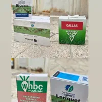 بذر چغندر|عمده‌فروشی|کرمانشاه, |دیوار