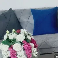 فروش فوری|مبلمان خانگی و میز عسلی|تهران, تهرانپارس شرقی|دیوار