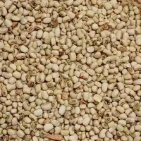 گندم و لوبیا|خوردنی و آشامیدنی|اهواز, اسماعیلیه|دیوار