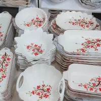 ظروف سرامیکی اقساط ماهی 10 هزار