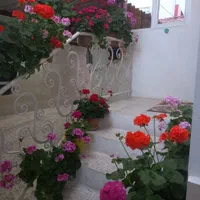 سوئیت دوخوابه پارکینگ دار داخل شهر دربست|اجارهٔ کوتاه‌مدت آپارتمان و سوئیت|آستارا, |دیوار