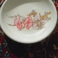 بشقاب ودیس ملامینی
