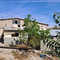 گاوداری فول امکانات اجاره یا جذب سرمایه گذار