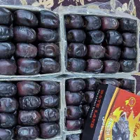 کبکاب خرمامضافتی کبکاب عسلی