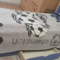 ۲ عدد تخت یک نفره