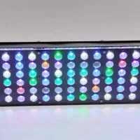 نور دست ساز در سطح(kessil.Radion)