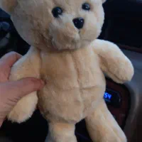 کار در منزل|استخدام آموزشی|چناران, |دیوار