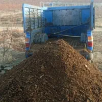 پهن|خودرو سواری و وانت|ارومیه, |دیوار