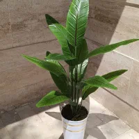 گل ودرختچه|گل مصنوعی|تهران, عباسی|دیوار