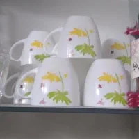 آرکوپال اصل فرانسه نو