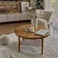 فروش زمین جزیره شمالی