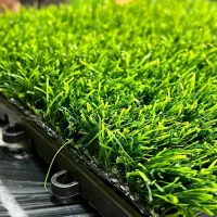 چمن مصنوعی 339تومن به مدت یک هفته|گل مصنوعی|لاهیجان, شهرک جانبازان|دیوار