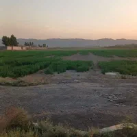 زمین کشاورزی
