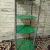 دو عدد قفس کفتر به فروش میرسد|لوازم جانبی حیوانات|خمینیشهر, |دیوار