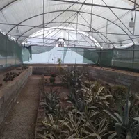 توری سایبان شید گلخانه 80 درصد و 90% واقعی گرگان|خدمات باغبانی و درختکاری|گرگان, |دیوار