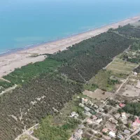 زمین ۴هکتاری دوکله ساحلی الماس نادر سرمایهگذاری|فروش زمین و ملک کلنگی|لاهیجان, شیخ زاهد|دیوار