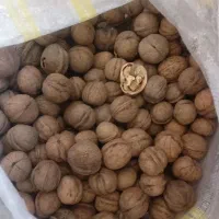 گردو و عناب|خوردنی و آشامیدنی|رباط‌کریم, رباط‌کریم|دیوار