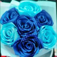 گلروبانی شاین دار بدون شاین