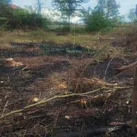 فروش سه قطعه زمین خوش قواره در شاندرمن ماسال