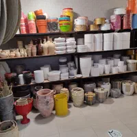 مجموعه گل و گیاه خانه سبز کیش|گل و گیاه طبیعی|کیش, |دیوار